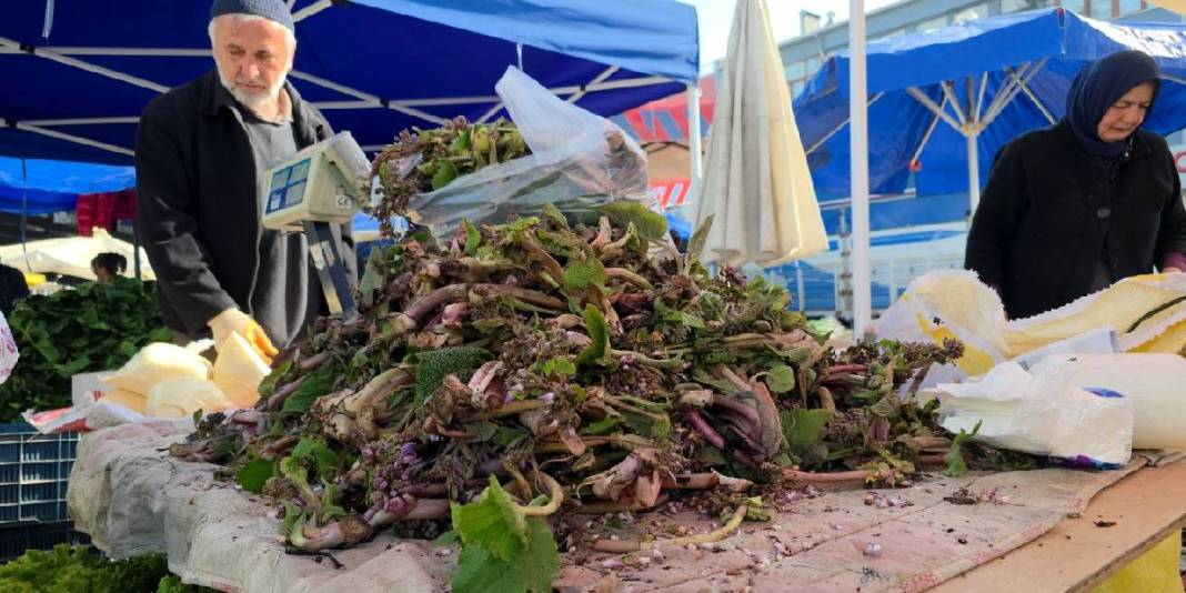 Baharda kendi kendine yetişiyor, pazarın gözdesi oluyor: Kilosu 100 TL’den alınıyor 2